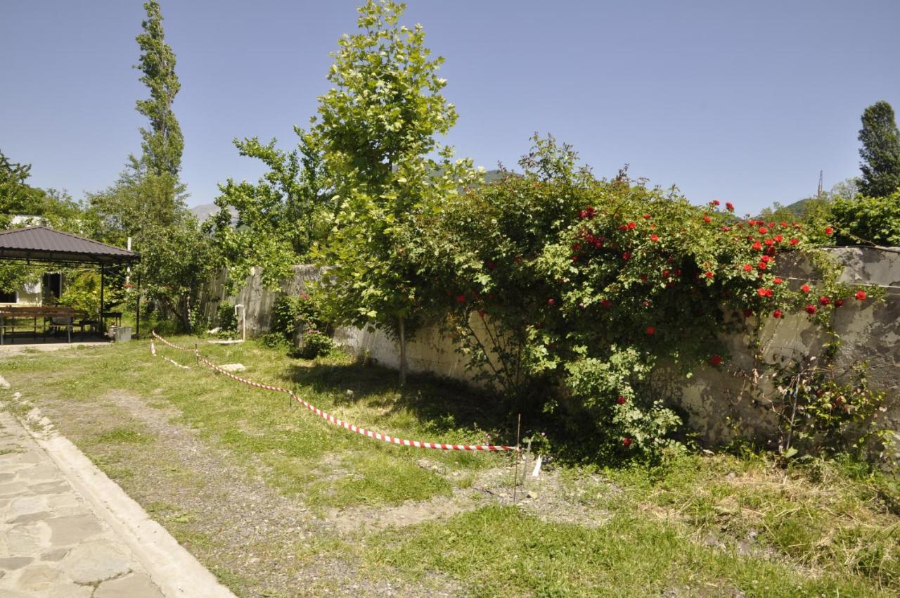 Apartments Firuze Габала Екстер'єр фото